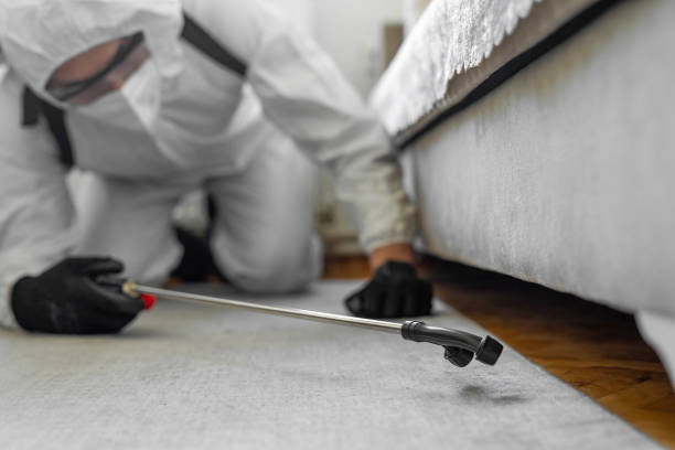 Professional Pest Control technician working in Hempstead, TX